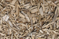 biomass boilers Birchburn